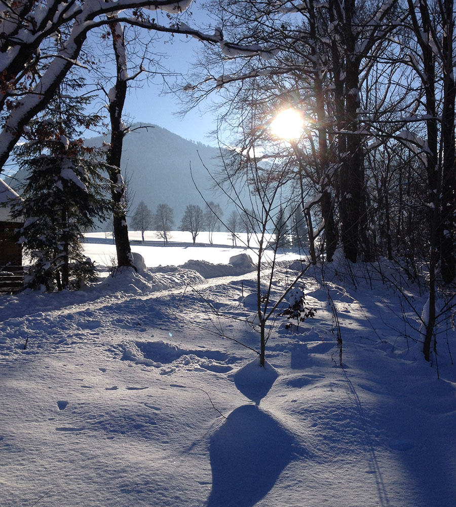 Winterpanorama